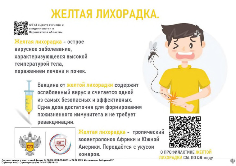 Желтая лихородка. Памятка. Желтая лихородка. Памятка.